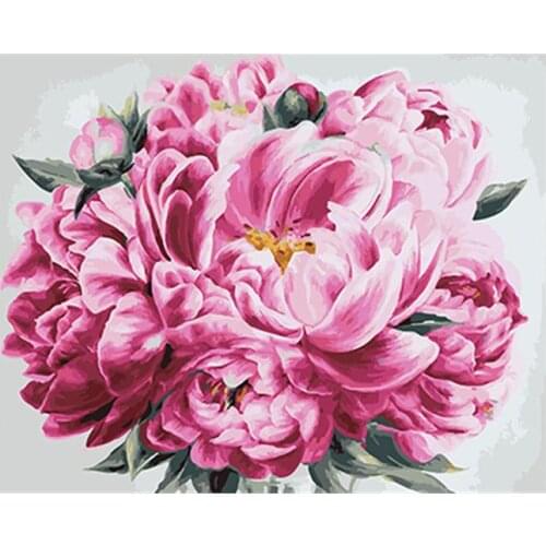 DRAWJOY Framed Picture Painting & Calligraphy Of Flower DIY Painting By Numbers Coloring By Numbers For Home Decor