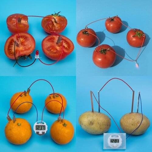 Bio Energy Science Kit Potato Fruit Supply Kids Children Student Learining Science Educational Toy Electricity Experiments