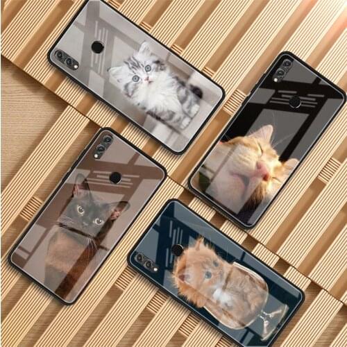 Funny Cat Tempered Glass Phone Case For Huawei P20 P30 P40 P40 Lite Pro Psmart Mate 20 30 Cover Shell