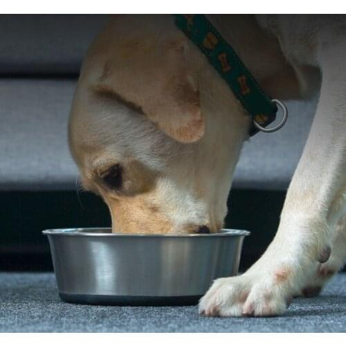 Durable Pet Supplies for Dogs Water Feeder Anti-slip Stainless Steel Silicone Dog Eating Metal Bowl Cat Food Bowl Tray for Dogs
