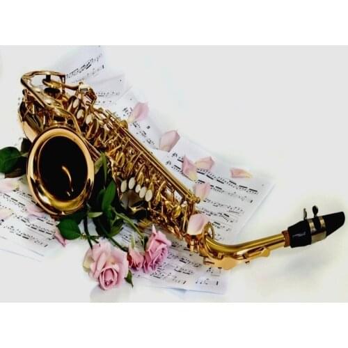 Светлица Painting Flowers By Numbers