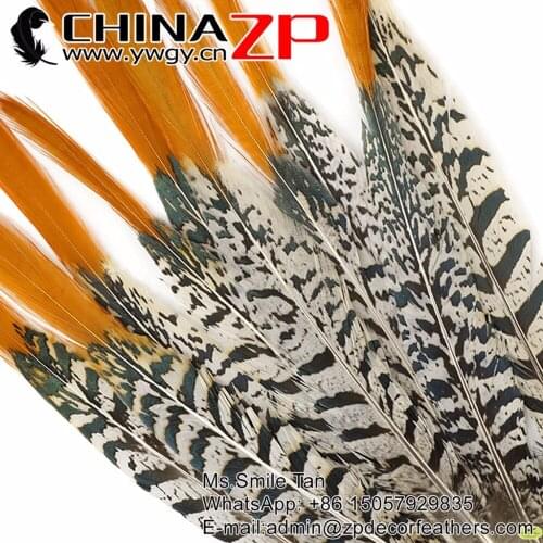CHINAZP Unique Feathers 50pcs/lot 15~20cm(6 to 8inch) NATURAL Orange Tips Lady Amherst Pheasant Feather for Party Festival