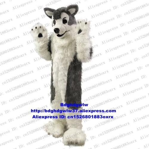 Grey White Long Fur Wolf Coyote Husky Dog Alaskan Malamute Mascot Costume Character Business Street Affection Expression zx621