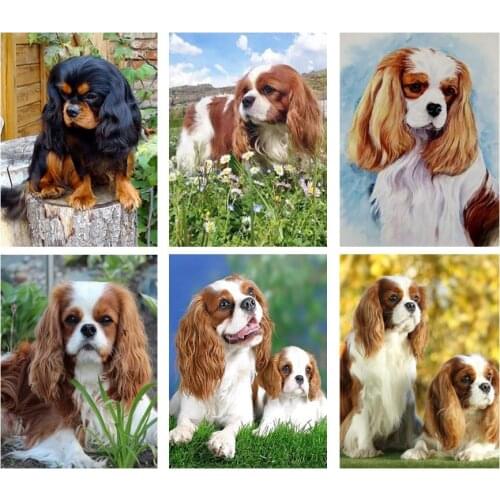 Cavalier King Charles Spaniel 5d Diy Diamond Painting Cross Stitch Kit Square Round Diamond Embroidery Rhinestone Mosaic Picture