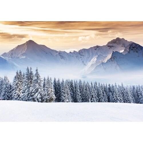 VinylBDS Natural Scenery Photography Backdrop Snow Studio White Snow Mountain Cloud Background For Children Photo