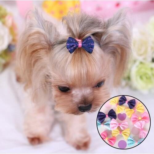 5Pcs Lovely Pet Dog Hair Clips Dogs Accessories Small Puppy Cat Hair Clip Pet Hair Accessories Dog Hair Grooming Cat Accessoires
