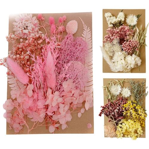 Real Dried Flower Dry Plant For Aromatherapy Candle Epoxy Resin Pendant Necklace Jewelry Making Craft DIY Accessories Artificial
