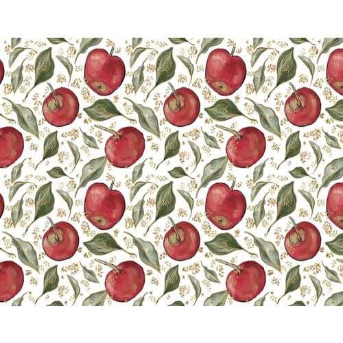 Apples backdrops newborn photography vinyl Fotografia baby shower photo backgrounds for kid photo Studio props photophone NB-233