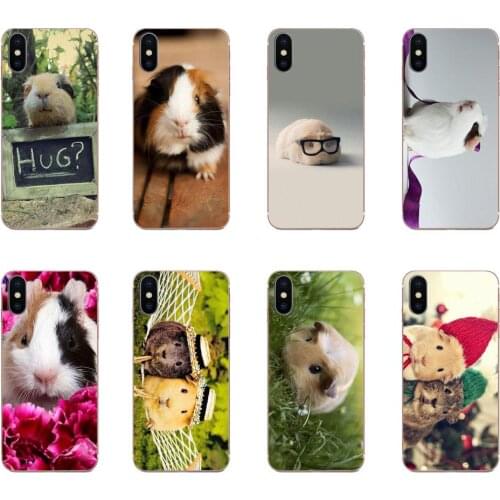 White Guinea Pig Animal Print Phone Cover Case For Samsung Galaxy A81 A71 A51 A01 S20 S10 S9 S8 Plus A50 A70 A40 A30 A20 A10