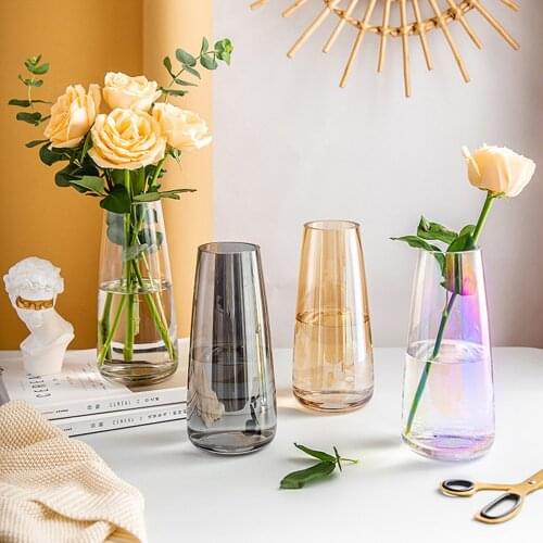 Ins Modern Glass Vase Irised Crystal Clear Glass Vase for Home Office Decor Flower Arrangement