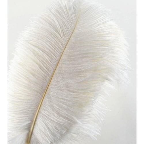 Wholasale Elegant White Ostrich Feathers for Crafts 15-75cm Wedding Party Supplies Carnival Dancer Decoration plumas Plumages