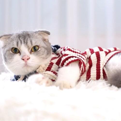 Pet Clothes Cat Costumes Kitten Autumn And Winter Two-Color Stripes Hooded Warm Soft Sweater Cat Outfit Chihuahua S-XL