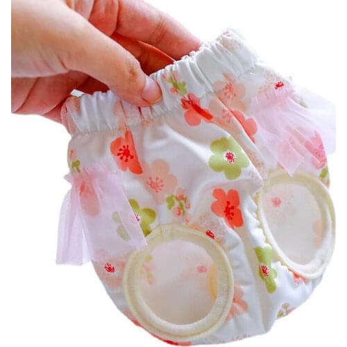 Female Dog Menstrual Briefs For Small Medium Dogs Bitch Physiological Panties Lace Underwear Pet Sanitary Shorts Dog Heat Pants