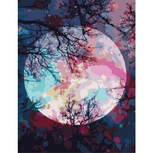 Paint by Numbers Kits for Adults DIY 40CM*50CM ALI_V_832