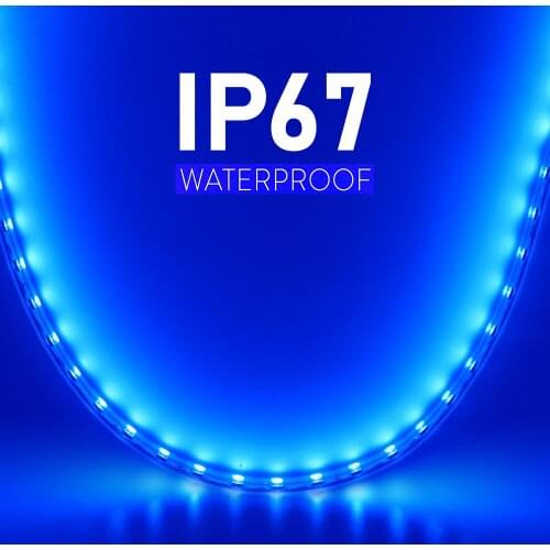 Dimmable 5050 Led Strip Light 220V Flexible Lamp String 60LED/m Waterproof Flex Lights Home Decoration 1m 2m 5m 10m 20m 50m 100m