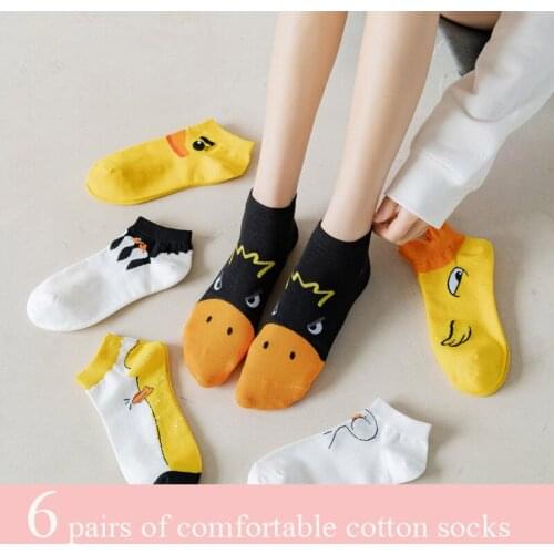 LA.SETA Women's Socks And Hosiery