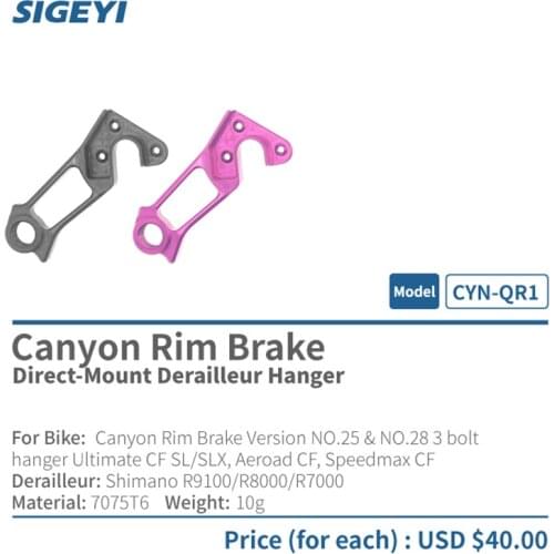 Sigeyi CYN-TH1/QR1 road bike frame integrate rear derailleur direct-mount hanger for canyon