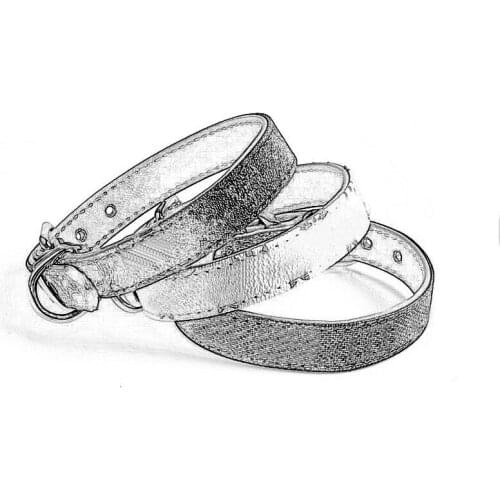 Chihuahua Collar and Leash Set for Pug Product Vip Dropshipping LC0155