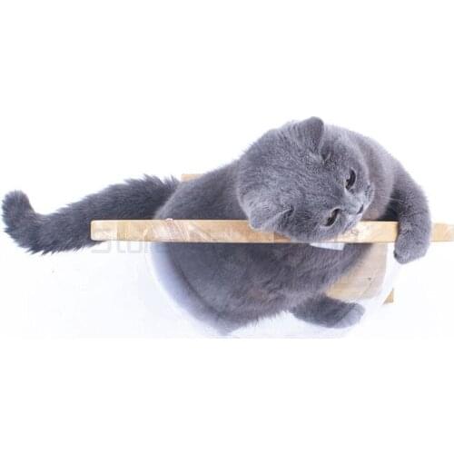 Wall-mounted Transparent Space Capsule Cat Wall House Cat Tree Wooden Cat Climbing Frame Kitten Bed Springboard Pet Furniture