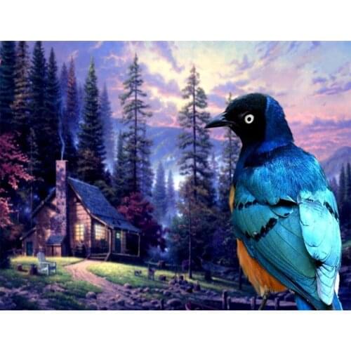 5d Diy Diamond Painting Pigeon scenery Full Drill Square Round Diamond Embroidery rhinestones mosaic Home Decor Accessories