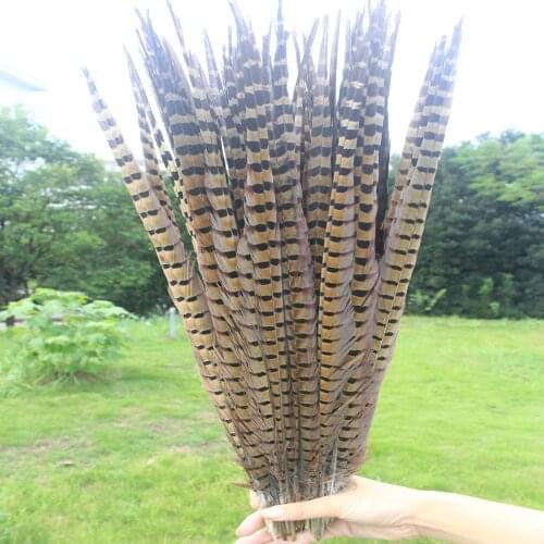 Hot 500 Pcs Wholesale Natural Pheasants Feathers 20-22inches/50-55cm Stage Performances Wedding Decoration Accessories