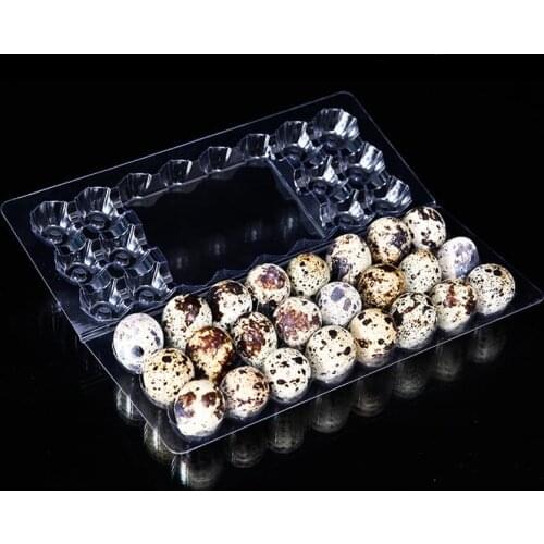 24 Holes Quail Egg Containers Plastic Egg Boxes 1000pcs/lot SN3466