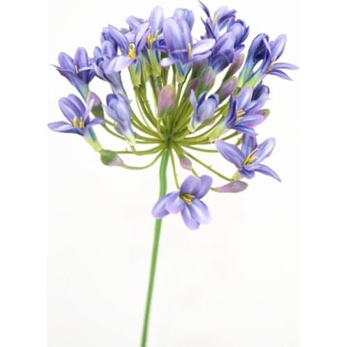 African Agapanthus High Quality Simulation Flower Living Room Bedroom Decoration Flower Art Shooting Props