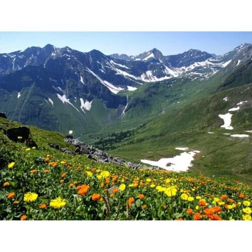 DIY Cross Stitch 11CT Embroidery Kits Craft Needlework Set Printed Canvas Cotton Thread Home Decoration Wholesale New Design