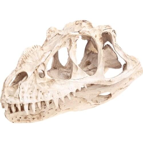 Ceratosaurus Dinosaur Skull Resin Crafts Skeleton Teaching Model Halloween Home Office Decoration