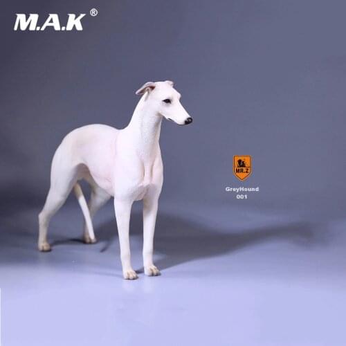 1/6 Collectible Figure Scene Accessories Mr.Z 14th 1/6 Scale No.14 Greyhound Animal Dog Model 6 Colors for 12'' Action Figure