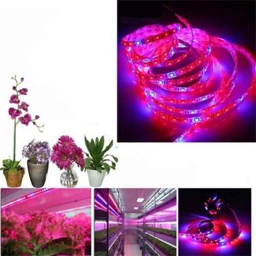 LED Grow light Full Spectrum 5M LED Strip light 5050 LED Flower Plant Phyto Growth lamps For Greenhouse Hydroponic Plant Growing