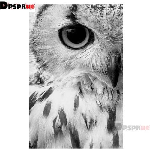 Dpsprue Full Square/Round Diamond Painting Cross Stitch Diamond 3D Embroidery Animal owl DIY 5D Moasic Home Decor Gift Pu30