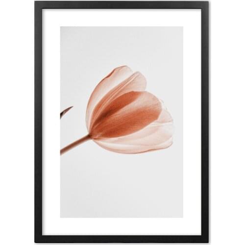 Red Tulip Plants Photography Art Nordic Posters And Prints Wall Art Paper Painting Wall Pictures For Living Room Home Decor