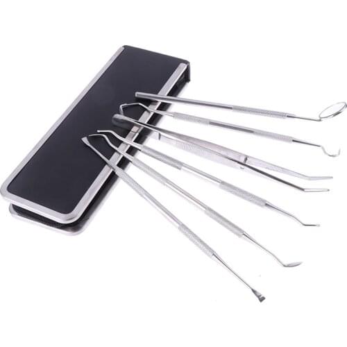 6pcs/setTooth Pick Probe Dental Oral Hygiene Teeth Clean Hygiene Stainless Steel Tools Kit With Case