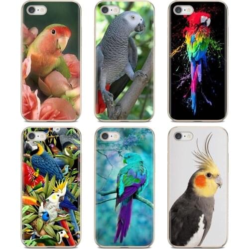 For Samsung Galaxy J1 J2 J3 J4 J5 J6 J7 J8 Plus 2018 Prime 2015 2016 2017 EU Soft Cases Cover Garden flower Bird Ringneck Parrot