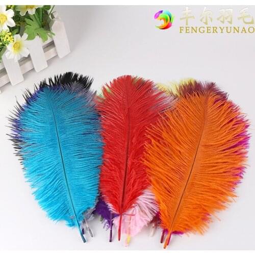 Spot supply 20-25 cmdiy color ostrich feather wedding decoration process ostrich feathers