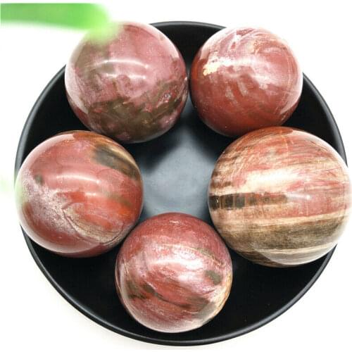 1PC Natural Petrified Wood Silicified Crystal Sphere Ball Energy Healing Decoration Natural Stones and Minerals