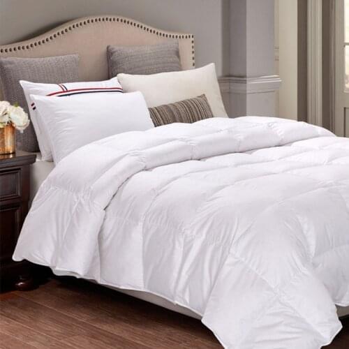 High Quality Design Air-conditioning 100% Cotton Duvet Winter Quilt Household Bed Cover Comfortable And Soft Warm Quilt Blanket