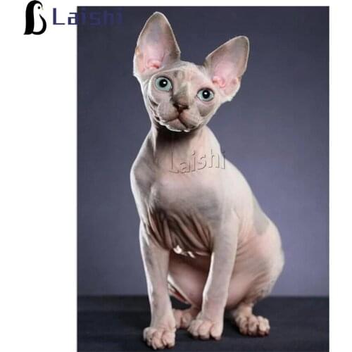 5D DIY diamond painting Sphynx animal full square round new hot sale diamond embroidery mosaic home decoration art children gift