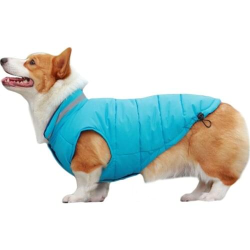 Куртки для собак YIXIAO China At AliExpress