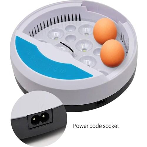 9 Egg Incubator Automatic Digital 9 Eggs Mini Home Hatching Equipment with LED Light Egg Candler Tester and Temperature Control