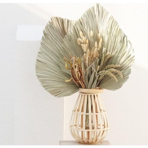 Dried Flower Natural Palm Fan Leaf Dried Palm Leaf Fan Plant DIY Party Art Wall Hanging Wedding Marriage Decor Arrangement
