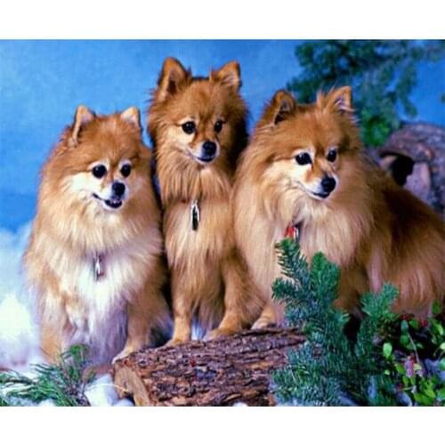 5D diy Diamond Embroidery animals dog,Full 5d Diamond Painting Cross Stitch diamond Mosaic Crafts Diamond Pattern home decor