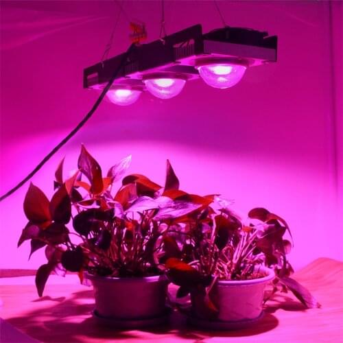 COB LED Grow Light Full Spectrum 100W 200W 300W LED Plant Grow Lamp For Indoor Plants Flowers Greenhouses Hydroponics Grow Tents