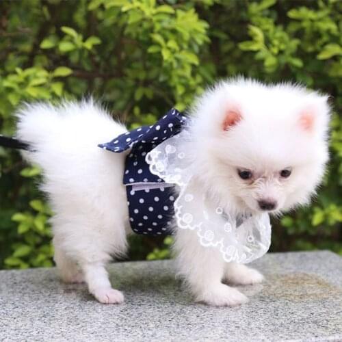 Pet Dog Bowknot Harness Set Lace Print Fashion Party Vest Cute Kitten Harness and Leash Set For Small Medium Dogs Cat