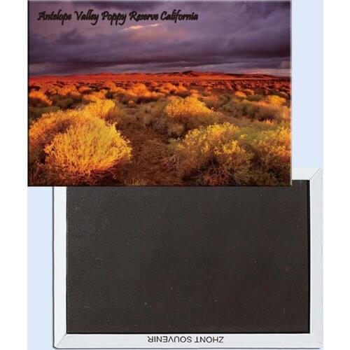 Tourist Souvenirs,Fridge Magnetic,Exquisite Gift 24537, Antelope Valley Poppy Reserve, California