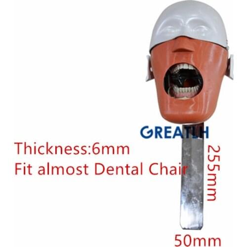 Dental Phantom Head Simulation Dental Training Teeth Head model Install to Dental Chiar Dentist Practise Model