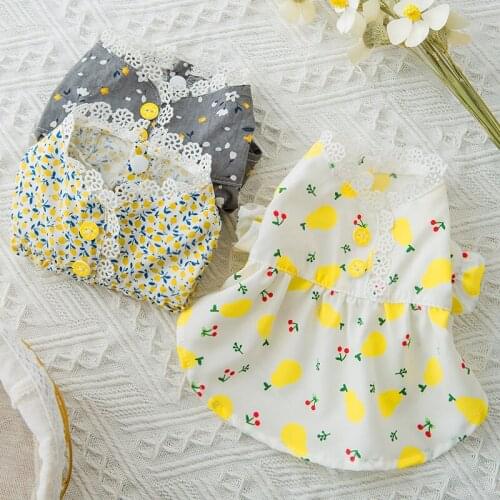 Pet Dog Dress Summer Female Dog Clothes Cat Puppy Dresses Princess Skirt Yorkshire Pomeranian Shih Tzu maltese Poodle Clothing