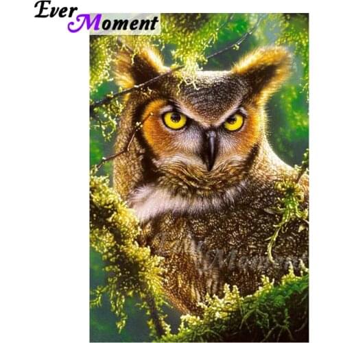 Ever Moment Diamond Painting Handmade Full Square Drill Owl Forest 5D DIY Rhinestone Hobby Art Diamond Embroidery ASF1635