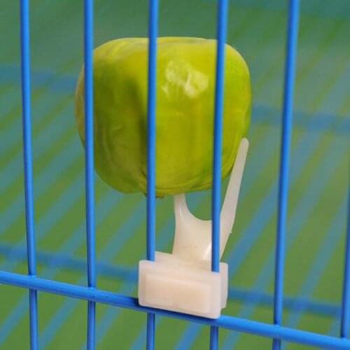 Birds Parrots Fruit Fork Pet Supplies Plastic Food Holder Feeding On Cage Pet Supplies 23